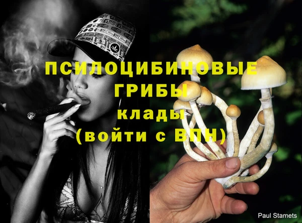 МДПВ Арсеньев